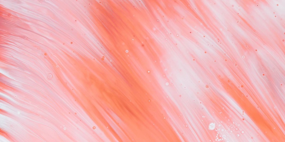 国家语言服务出口基地揭牌，白泽中文平台成为重点项目